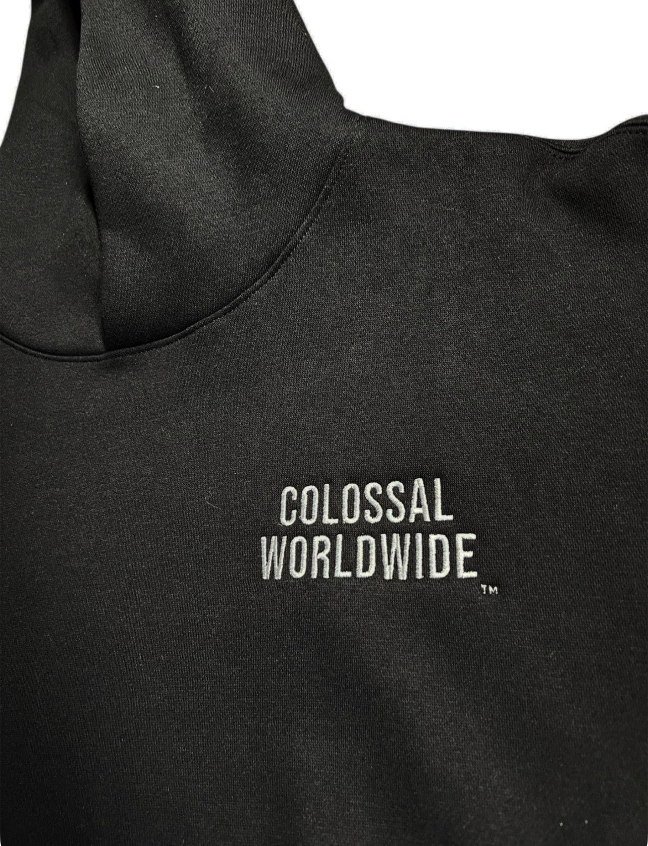 COLOSSAL WORLDWIDE Wordmark Embroidered Recess Hoodies-BLK/White