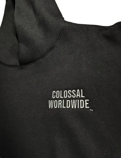 COLOSSAL WORLDWIDE Wordmark Embroidered Recess Hoodies-BLK/White