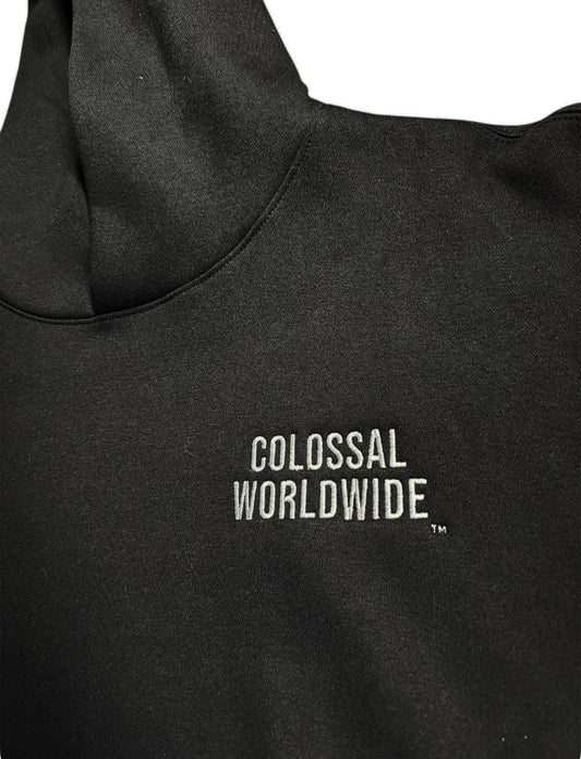 COLOSSAL WORLDWIDE Wordmark Embroidered Recess Hoodies-BLK/White